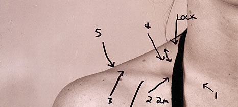 One of Billy Pappas's studies for the portrait, using the neck of his younger sister Gerneen.